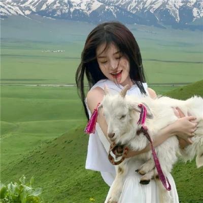 衣锦还乡之蛇年大吉